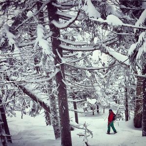 Meet your Posher, Paul